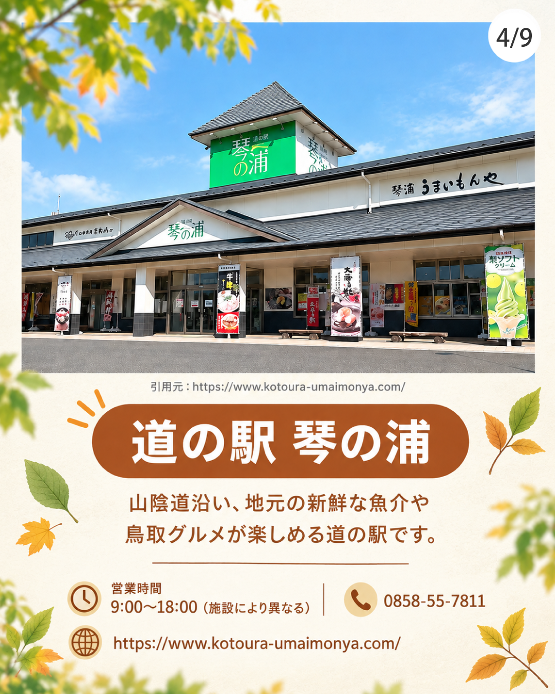 道の駅 琴の浦