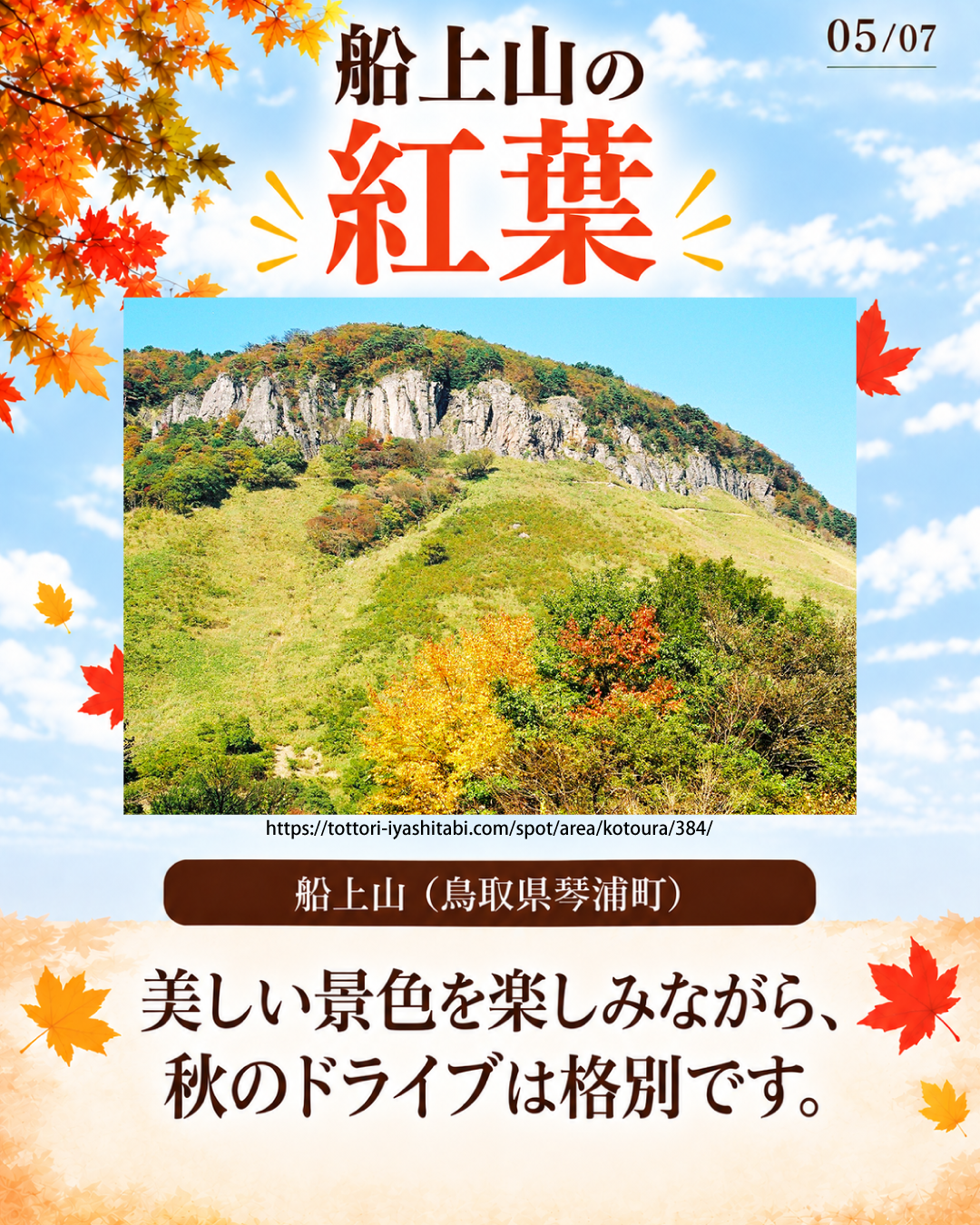 船上山の紅葉の様子